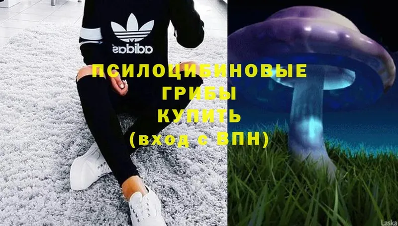 Псилоцибиновые грибы MAGIC MUSHROOMS  hydra ССЫЛКА  Макушино 